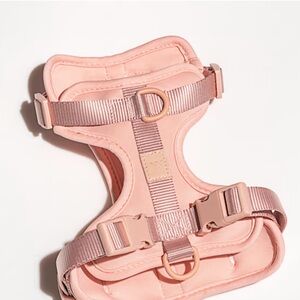 Wild One Dog Harness